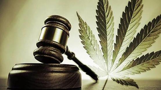 陽光boy販賣大麻被刑拘，王平聚刑事團隊受托介入獲“關(guān)多久，判多久”