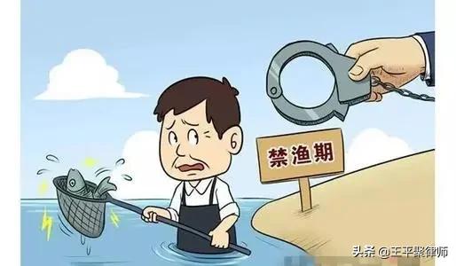 四川農(nóng)民在自家承包河流里捕魚犯“非法捕撈罪”，此判決合法嗎？ ?